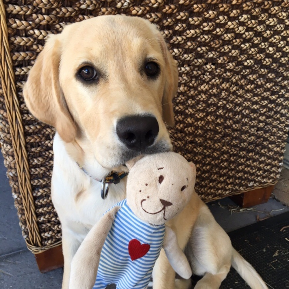 Meet your Posher, Debra